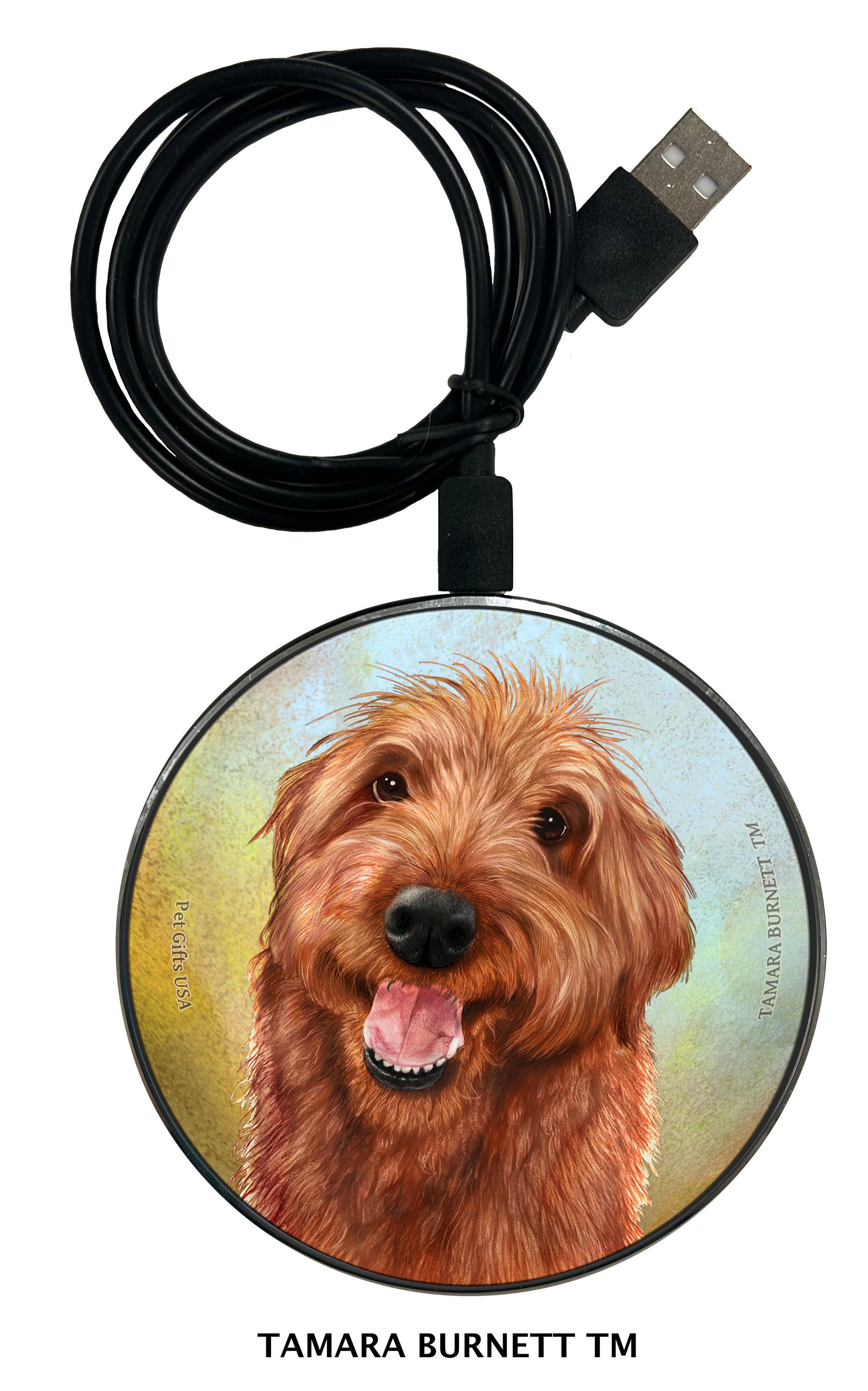 Zoomies Chargers sample image